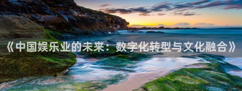 百达娱乐：《中国娱乐业的未来：数字化转型与文化融合》