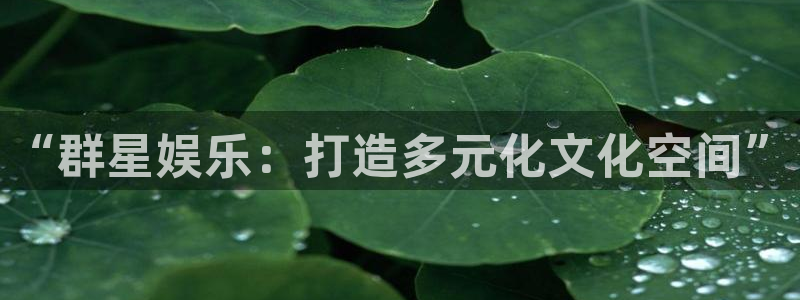 百达娱乐：“群星娱乐：打造多元化文化空间”