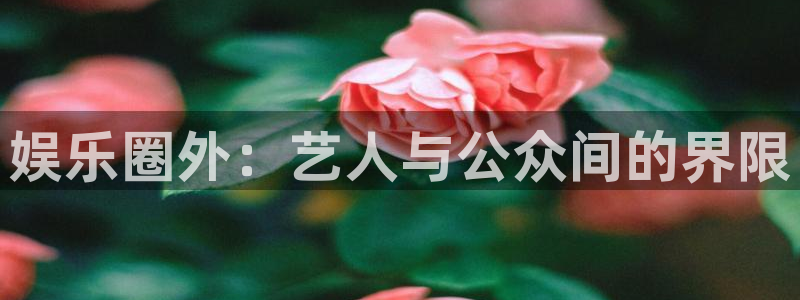百达娱乐：娱乐圈外：艺人与公众间的界限
