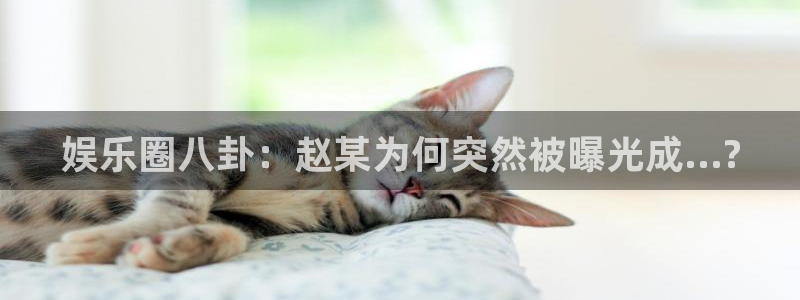 百达娱乐：娱乐圈八卦：赵某为何突然被曝光成...?