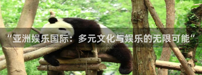 百达娱乐：“亚洲娱乐国际：多元文化与娱乐的无限可能”