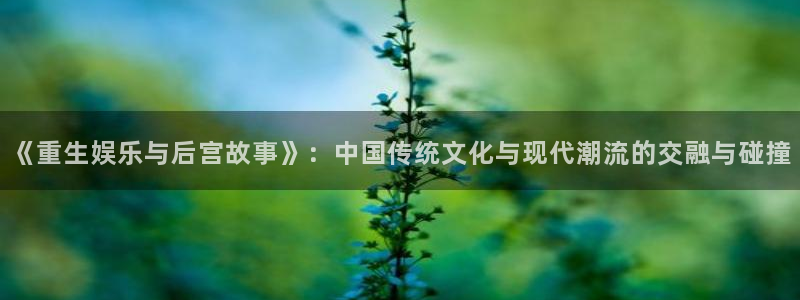 百达娱乐：《重生娱乐与后宫故事》：中国传统文化与现代潮流的交融与碰撞